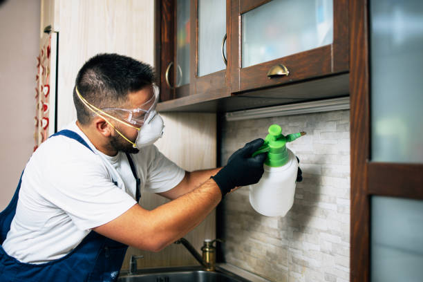 Pest Control Cost in Port Orange, FL